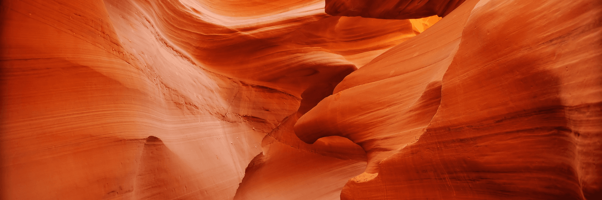 Banner Content Background